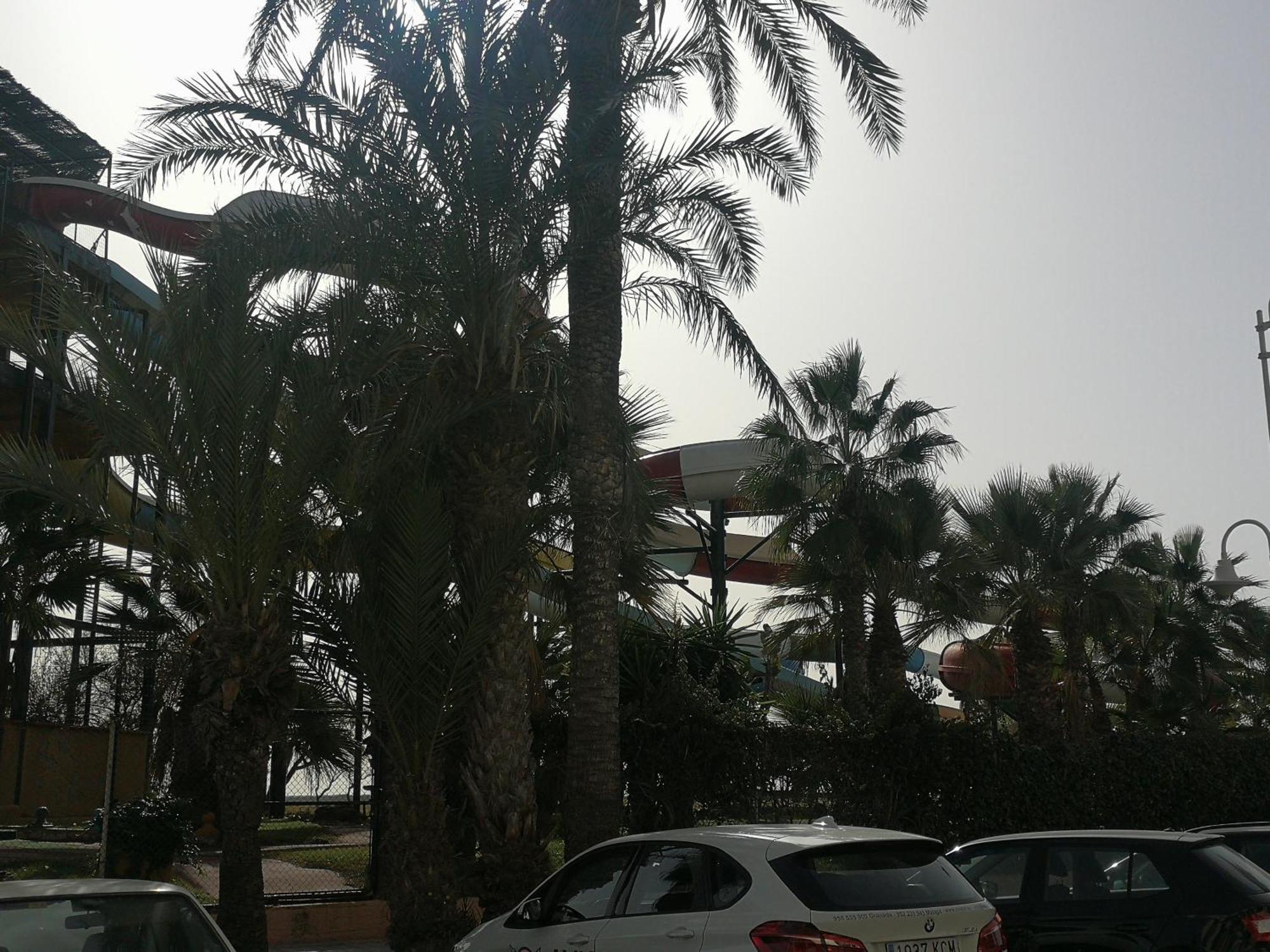 Apartamento Playa Velilla Park II Almuñécar Exteriör bild
